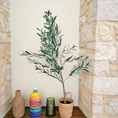 Maestrale דירה *